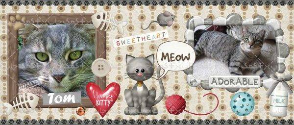 فریم و قاب عکس طرح گربه برای چاپ ماگ شماره 2