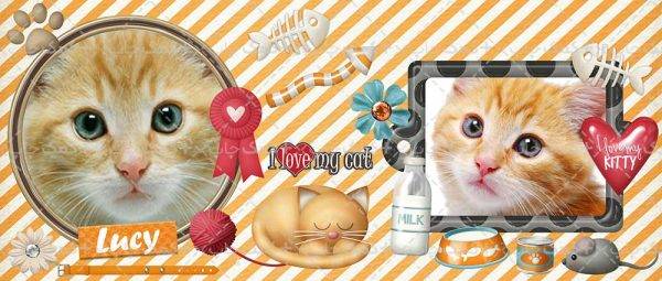 فریم و قاب عکس طرح گربه برای چاپ ماگ شماره 1